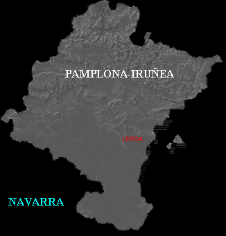 Lerga en Navarra